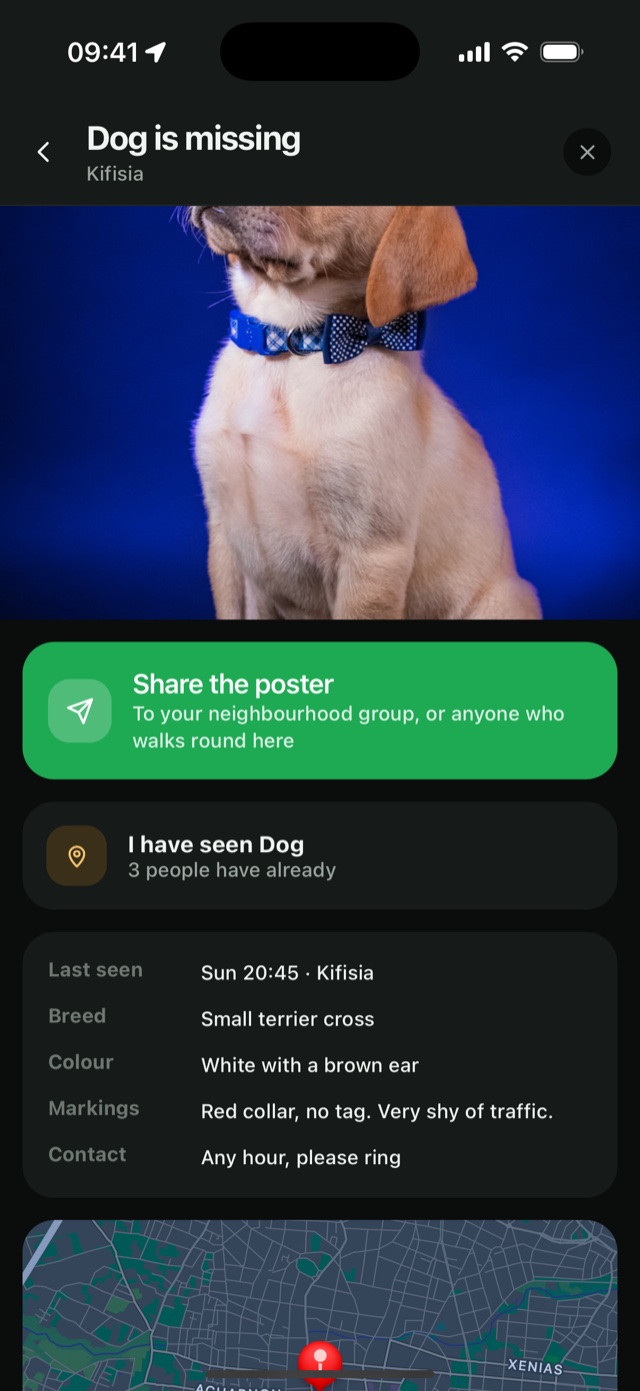 A missing dog in Zoopi: share the poster, say you have seen them, and every detail somebody would need to recognise the dog.